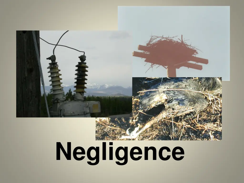 negligence n.w