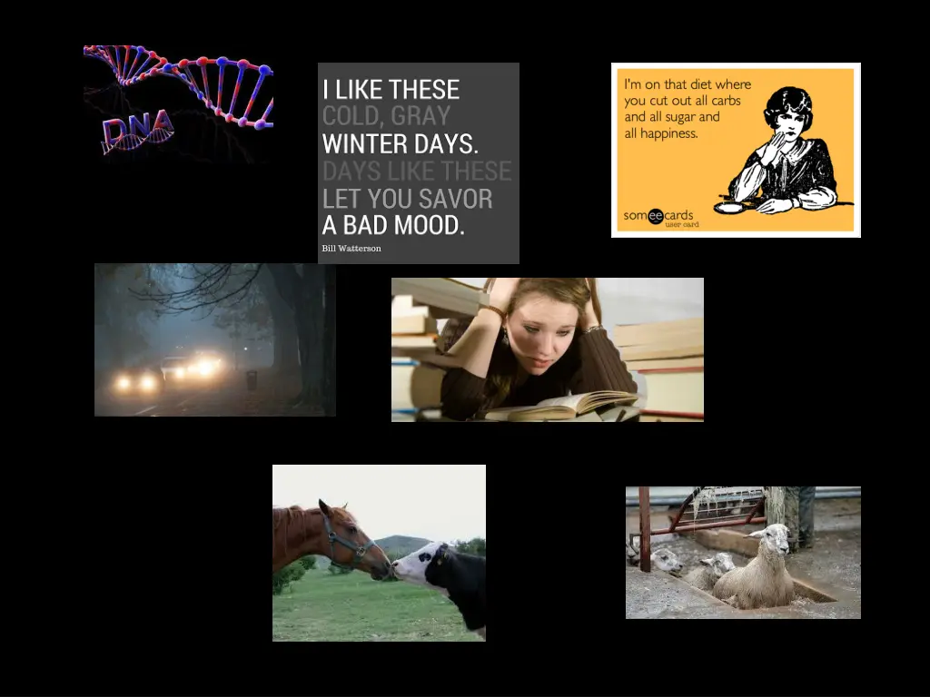 slide1 n.w