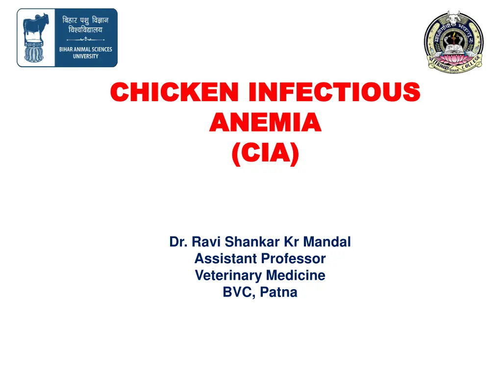 chicken infectious chicken infectious anemia n.w