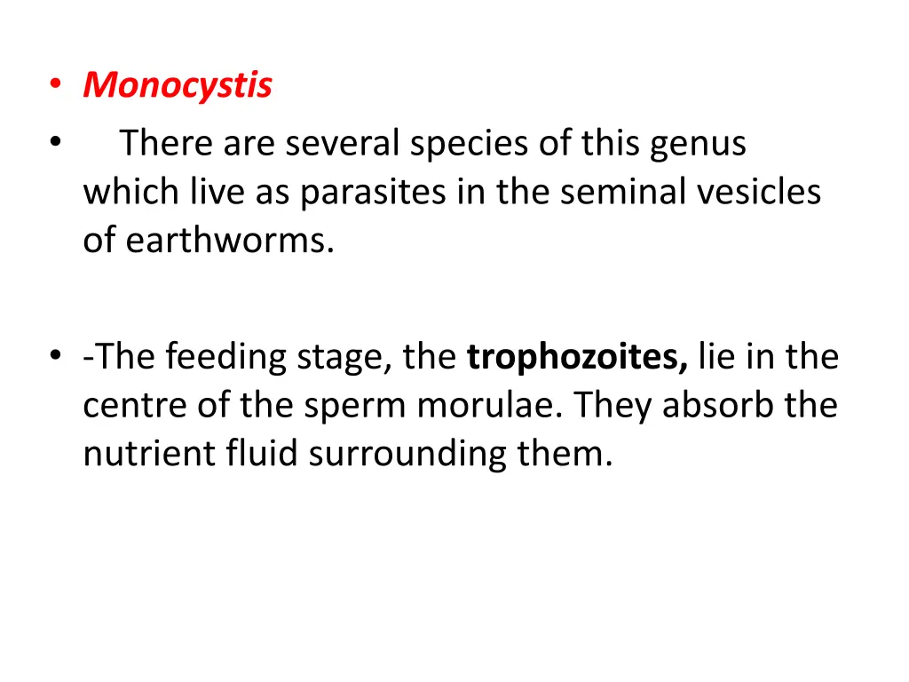 monocystis there are several species of this n.w