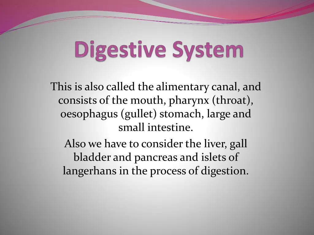 this is also called the alimentary canal n.w