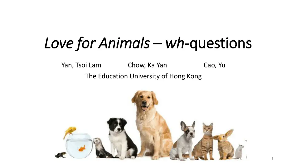 love for animals love for animals wh n.w