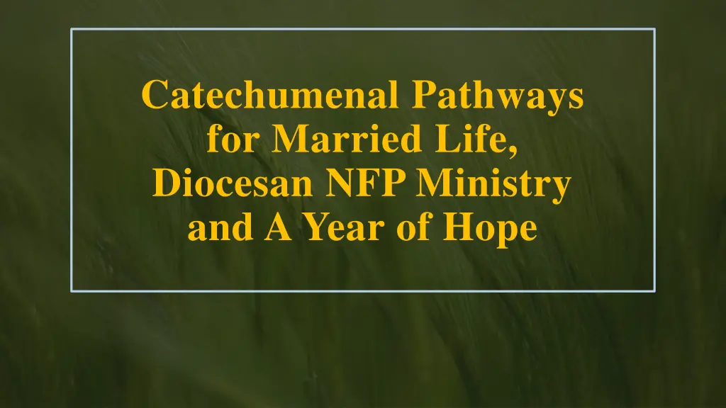 catechumenal pathways for married life diocesan n.w
