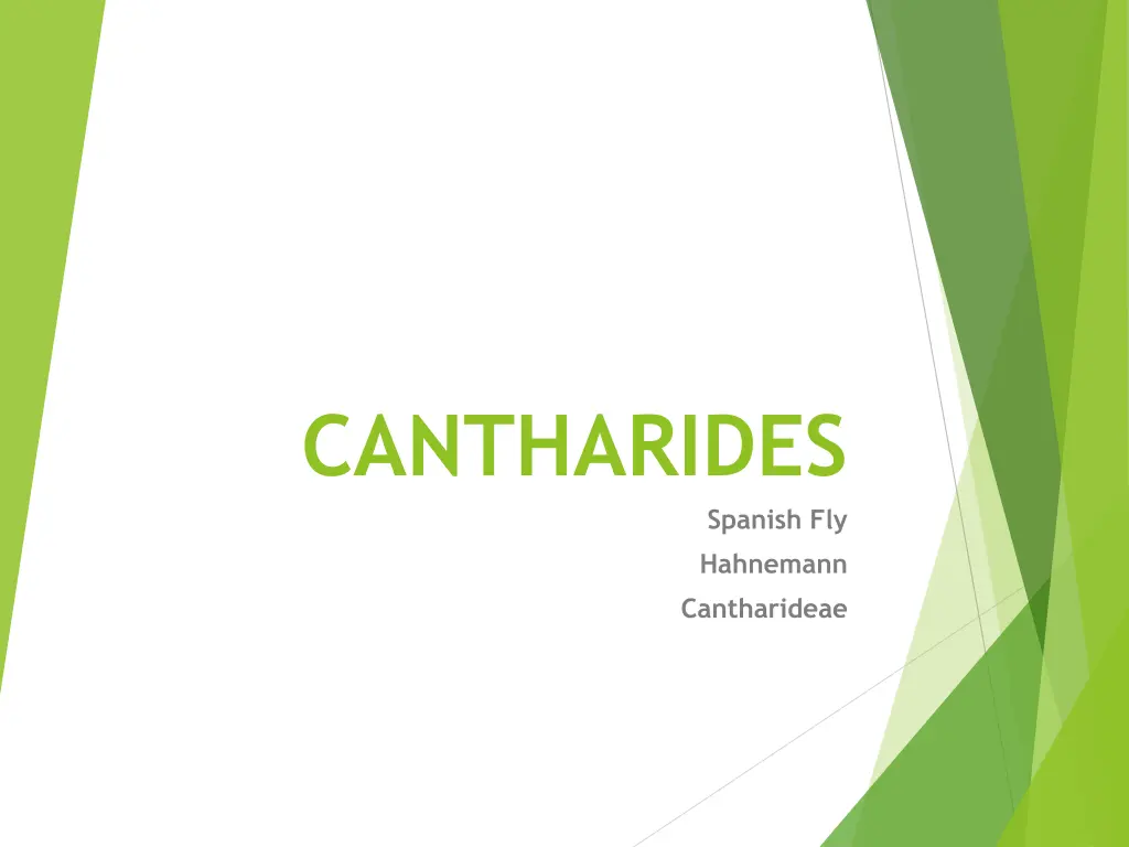 cantharides n.w