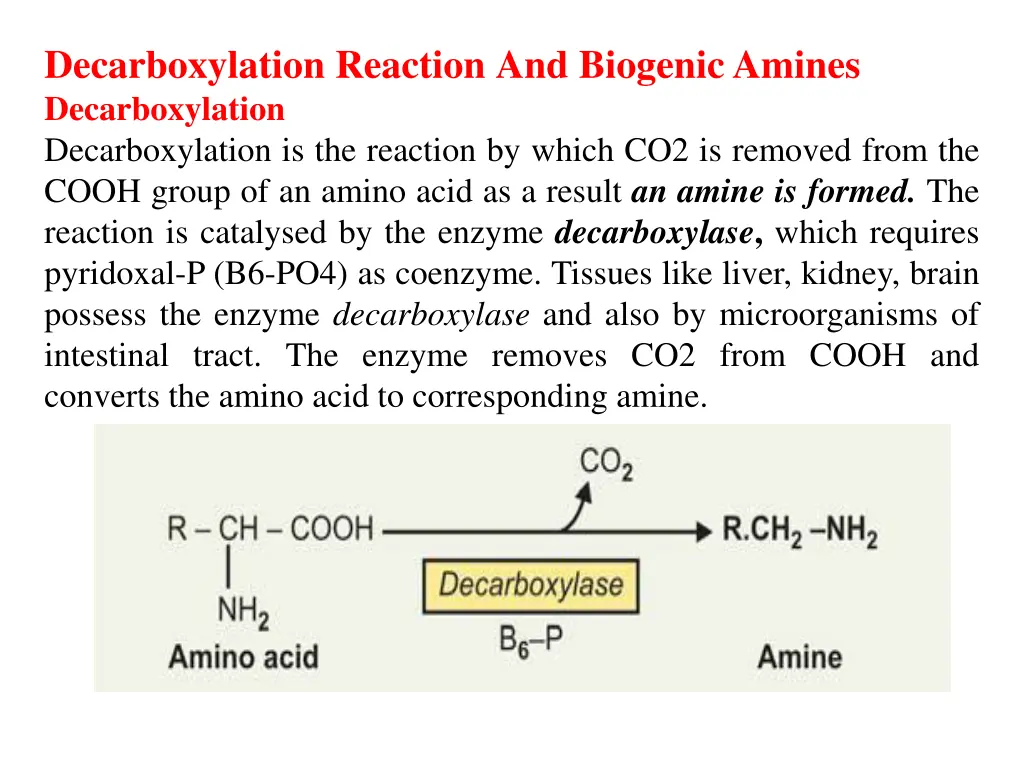 decarboxylation reaction and biogenic amines n.w