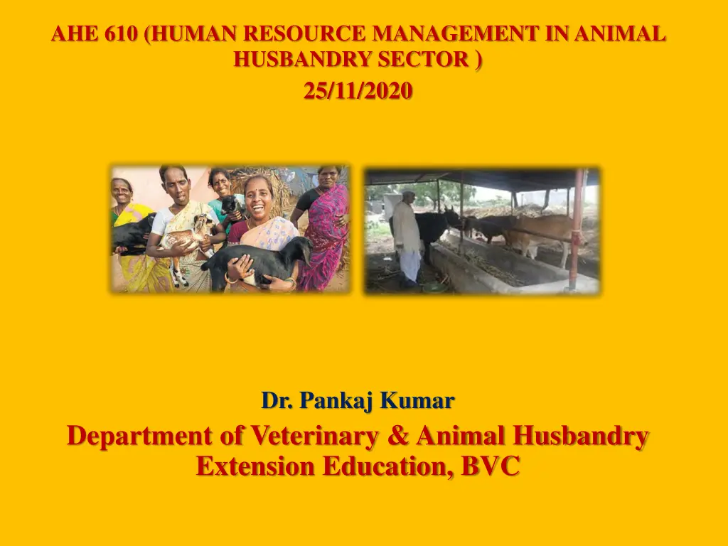 ahe 610 human resource management in animal n.w