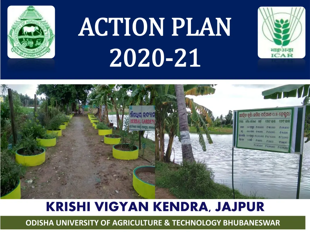 action plan action plan 2020 2020 21 n.w