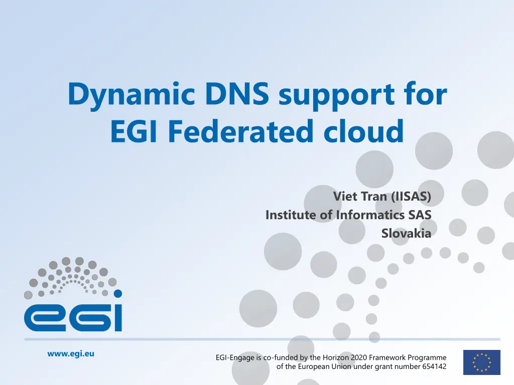 dynamic dns support for egi federated cloud n.w