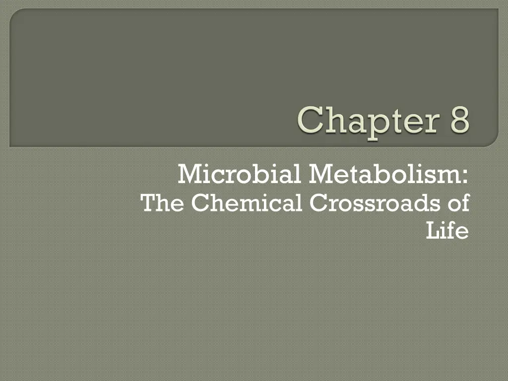 microbial metabolism the chemical crossroads of n.w