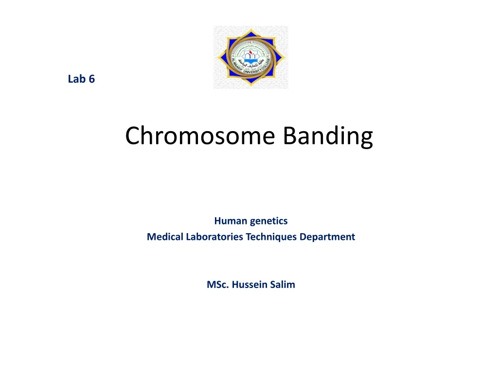 lab 6 n.w