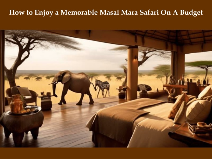 How to Enjoy a Memorable Masai Mara Safari On A Budget