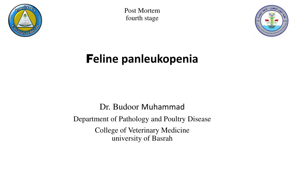 post mortem fourth stage n.w