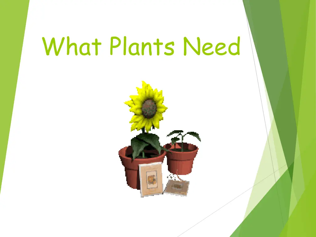 what plants need n.w