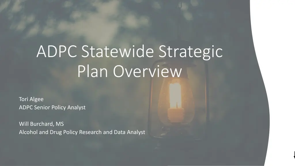 adpc statewide strategic plan overview n.w