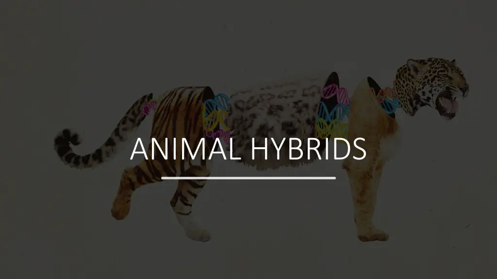 animal hybrids n.w