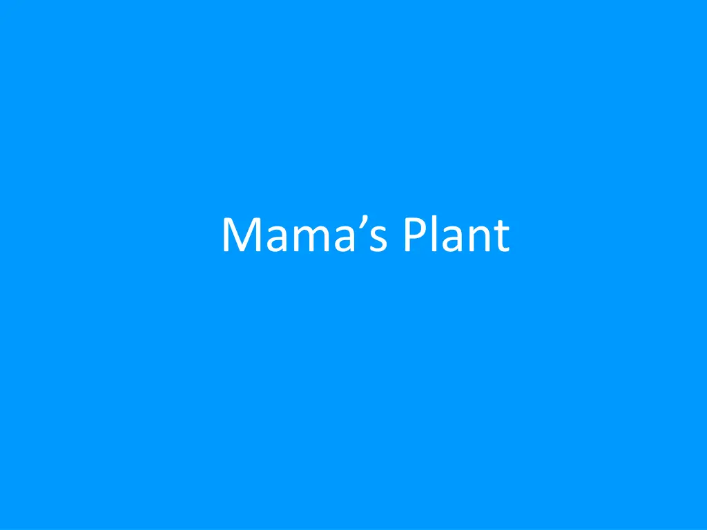 mama s plant n.w