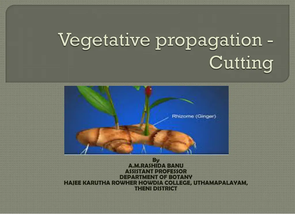 slide1 n.w