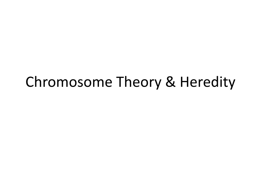 chromosome theory heredity n.w