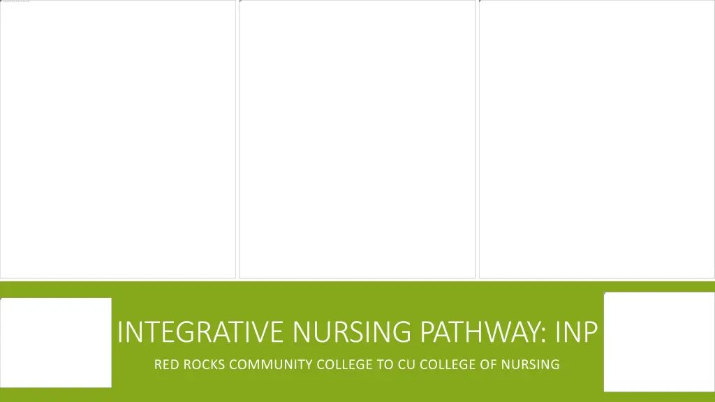 integrative nursing pathway inp n.w