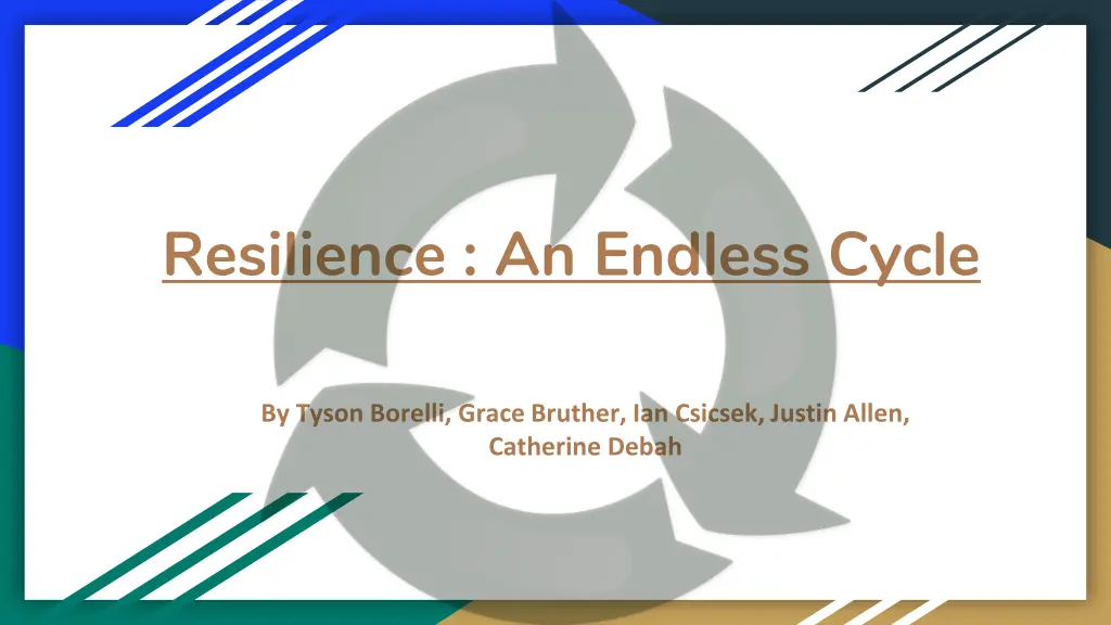 resilience an endless cycle n.w