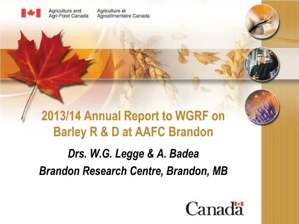 2013 14 annual report to wgrf on barley n.w