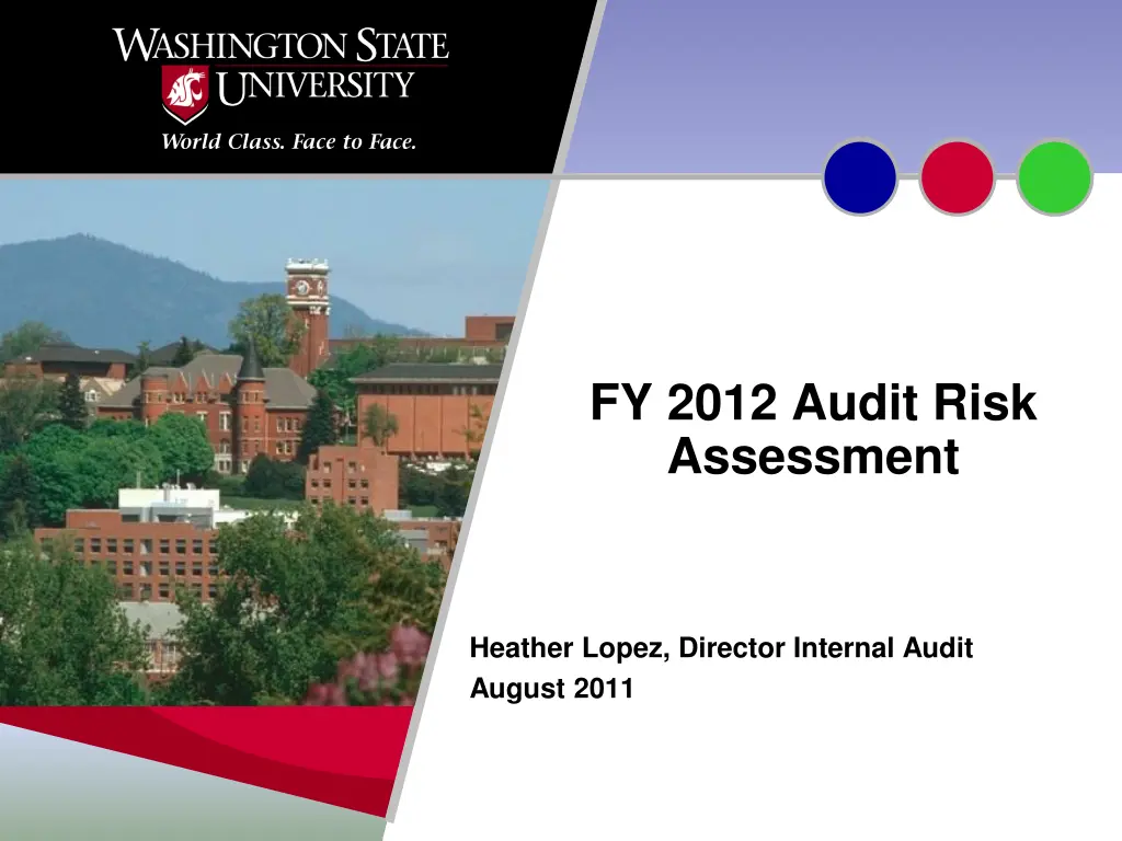 fy 2012 audit risk assessment n.w