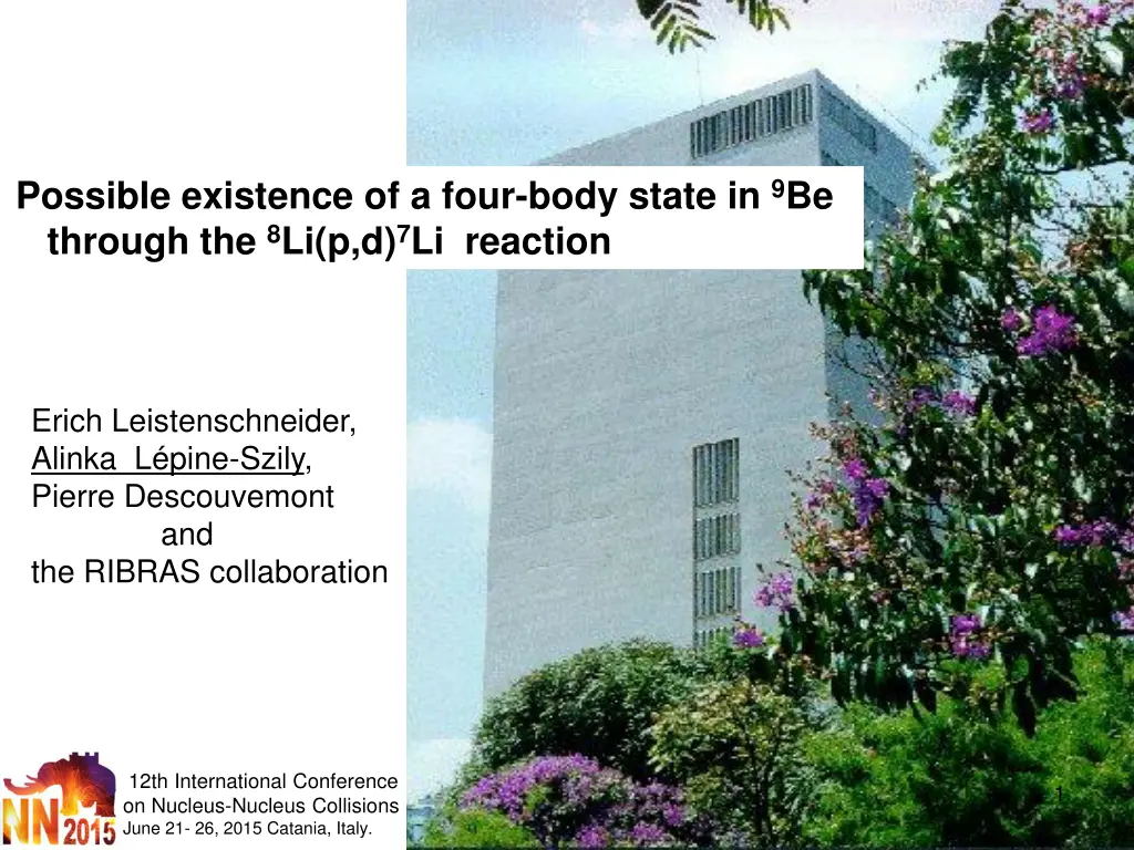 possible existence of a four body state n.w