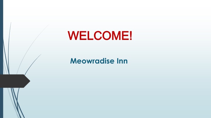 If you are looking for Cat Grooming in Kallang