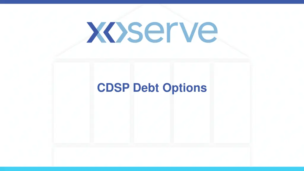 cdsp debt options n.w