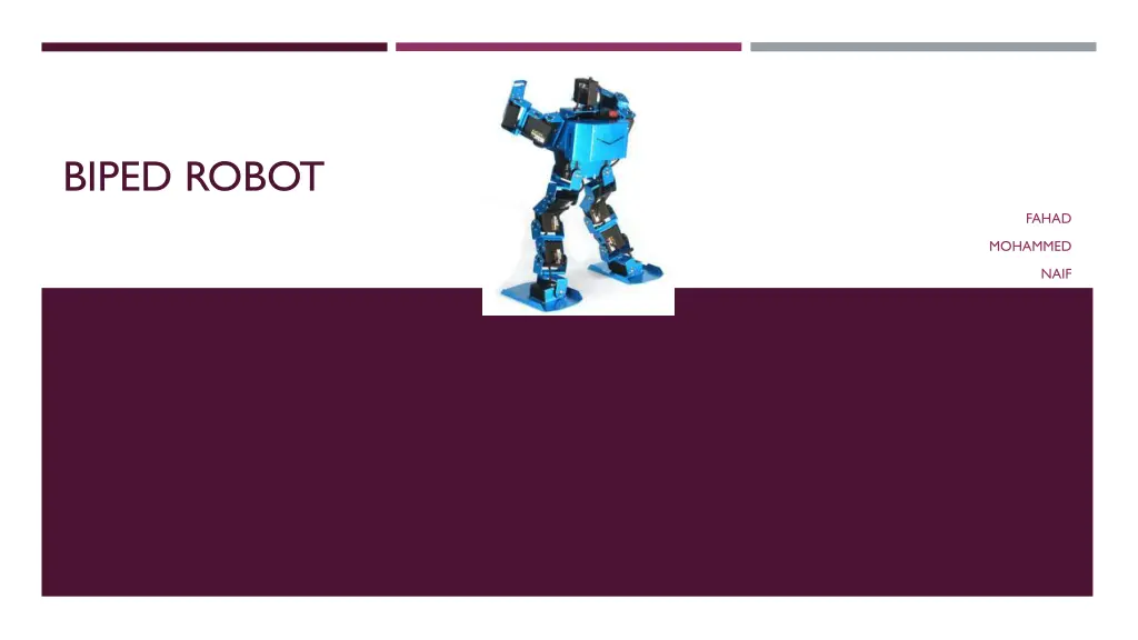biped robot n.w