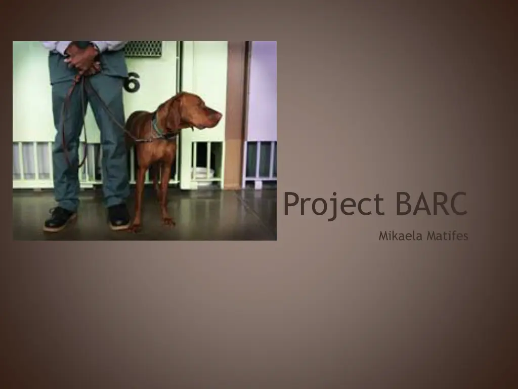 project barc n.w