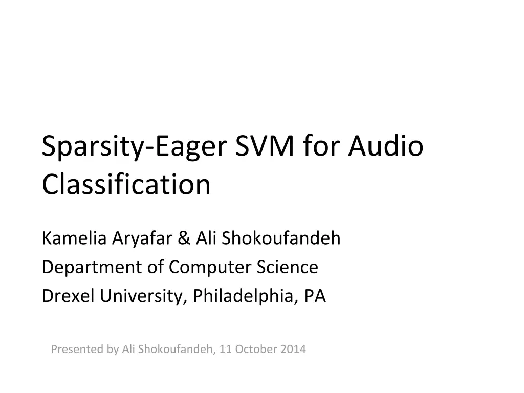 sparsity eager svm for audio classification n.w