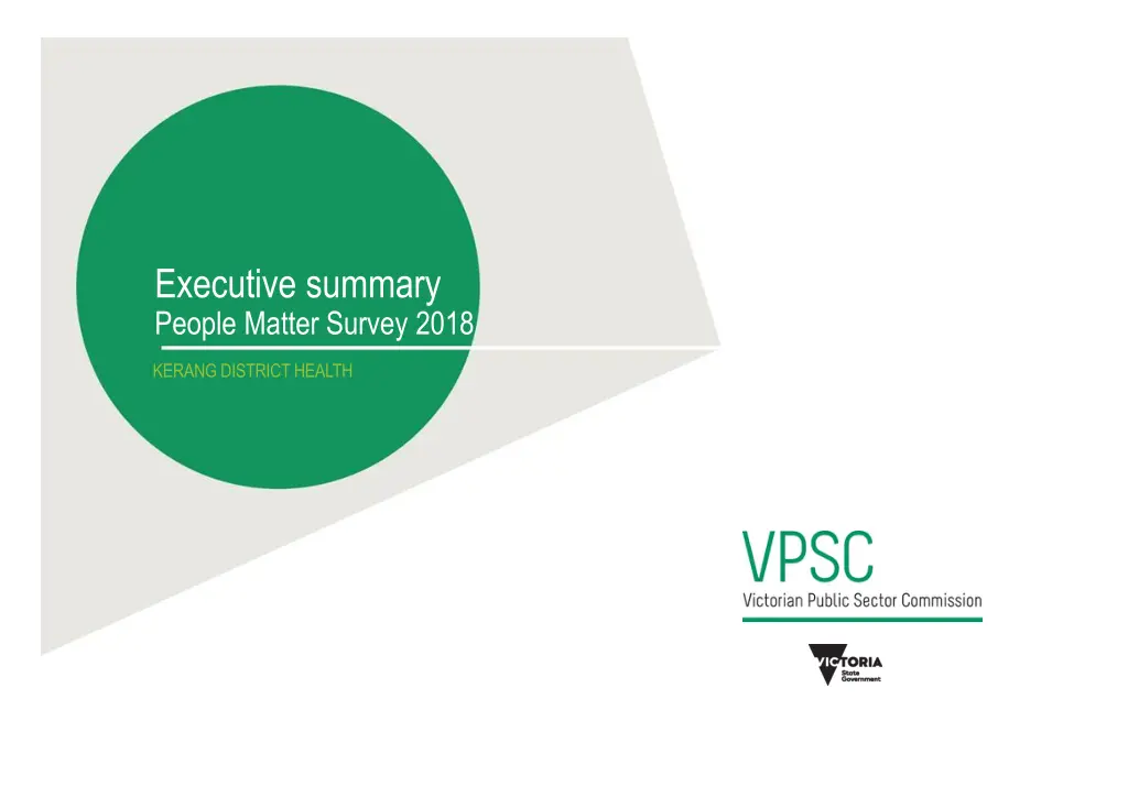 executive summary n.w