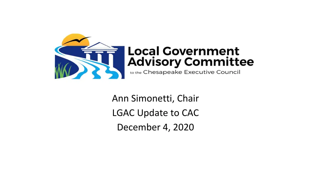 ann simonetti chair lgac update to cac december n.w