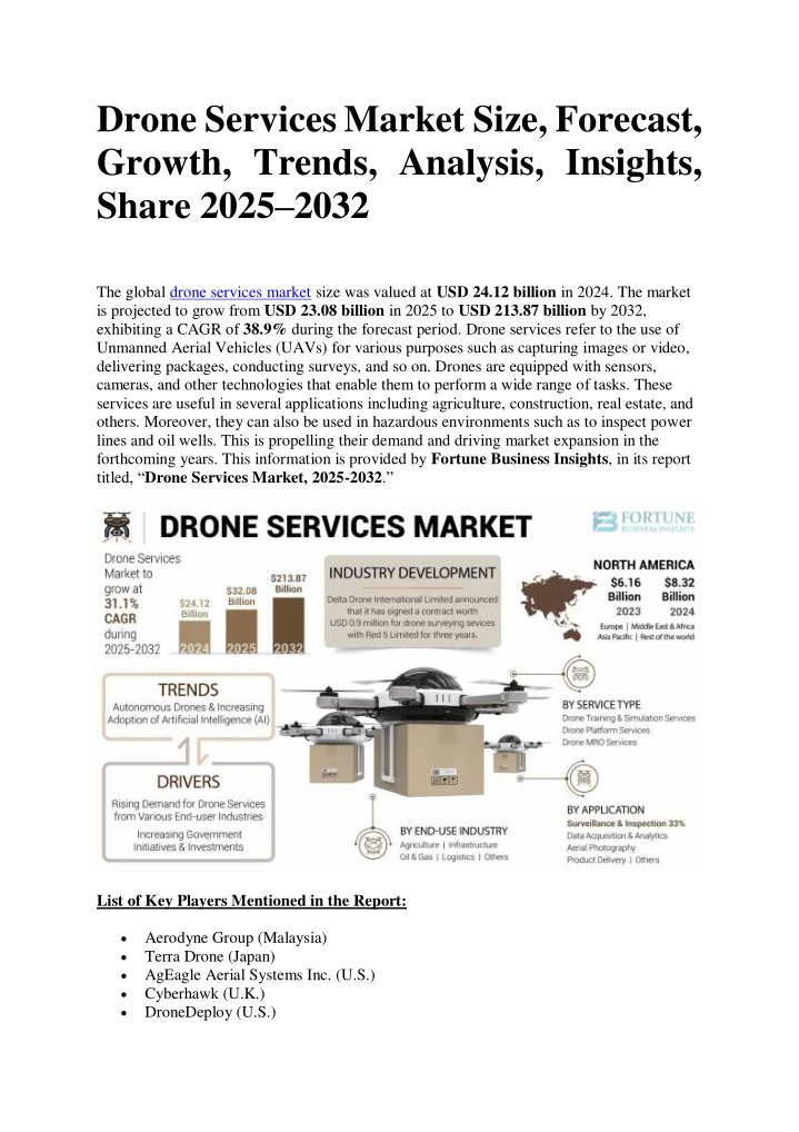drone services market size forecast growth trends n.w