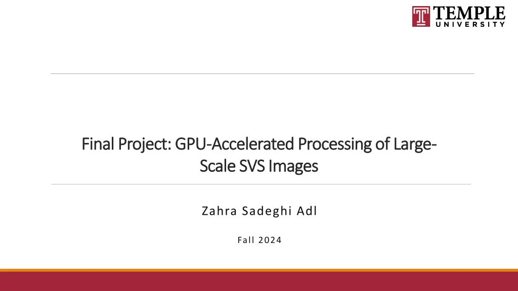 final project gpu final project gpu accelerated n.w