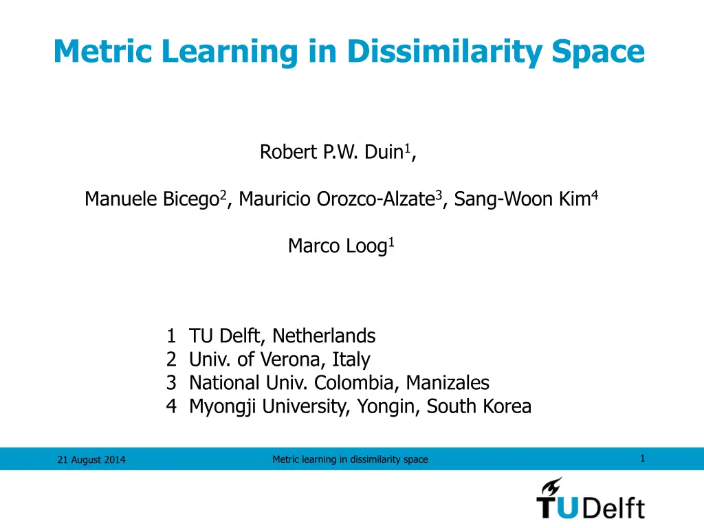 metric learning in dissimilarity space n.w