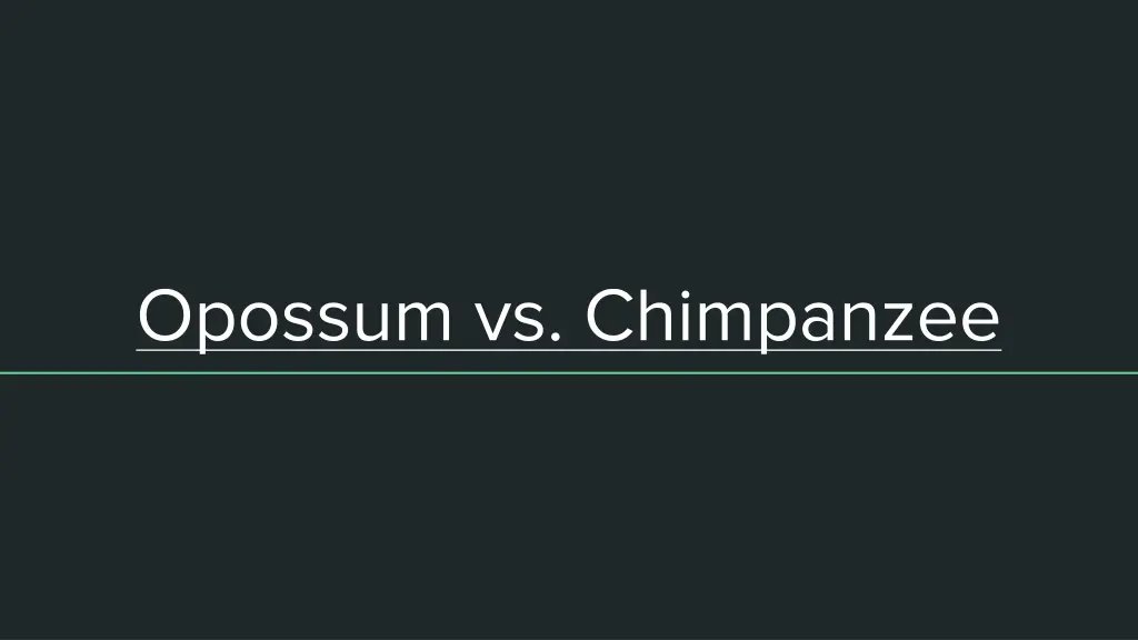 opossum vs chimpanzee n.w