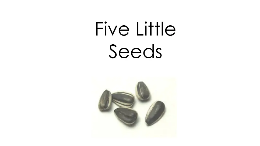 five little seeds n.w