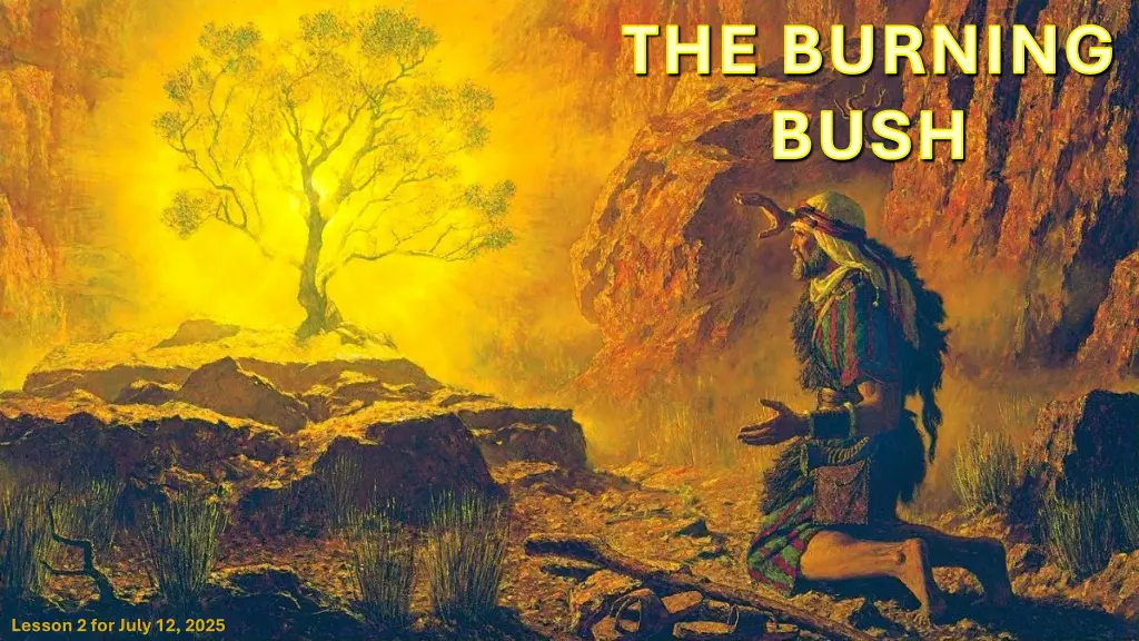 the burning bush n.w