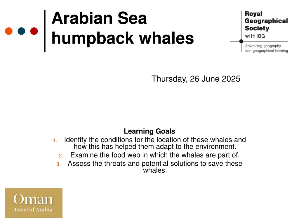 arabian sea humpback whales n.w