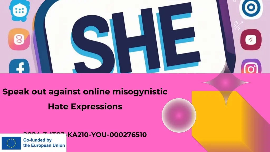 speak out against online misogynistic n.w