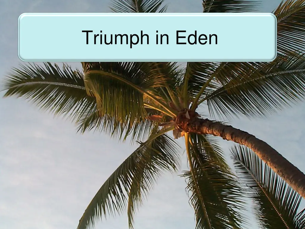triumph in eden n.w