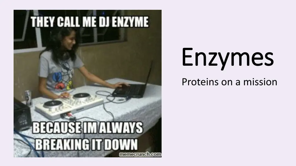 enzymes enzymes proteins on a mission n.w