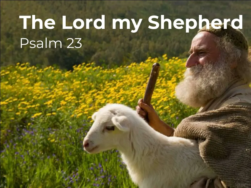 the lord my shepherd psalm 23 n.w