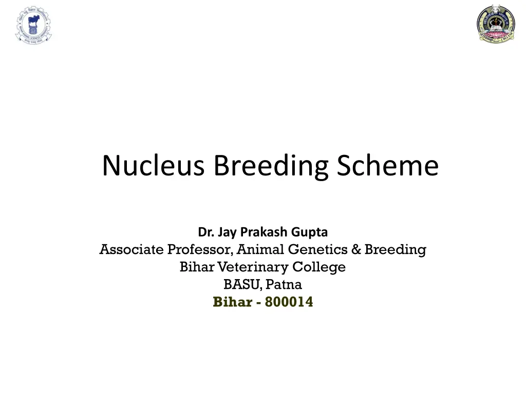 nucleus breeding scheme n.w