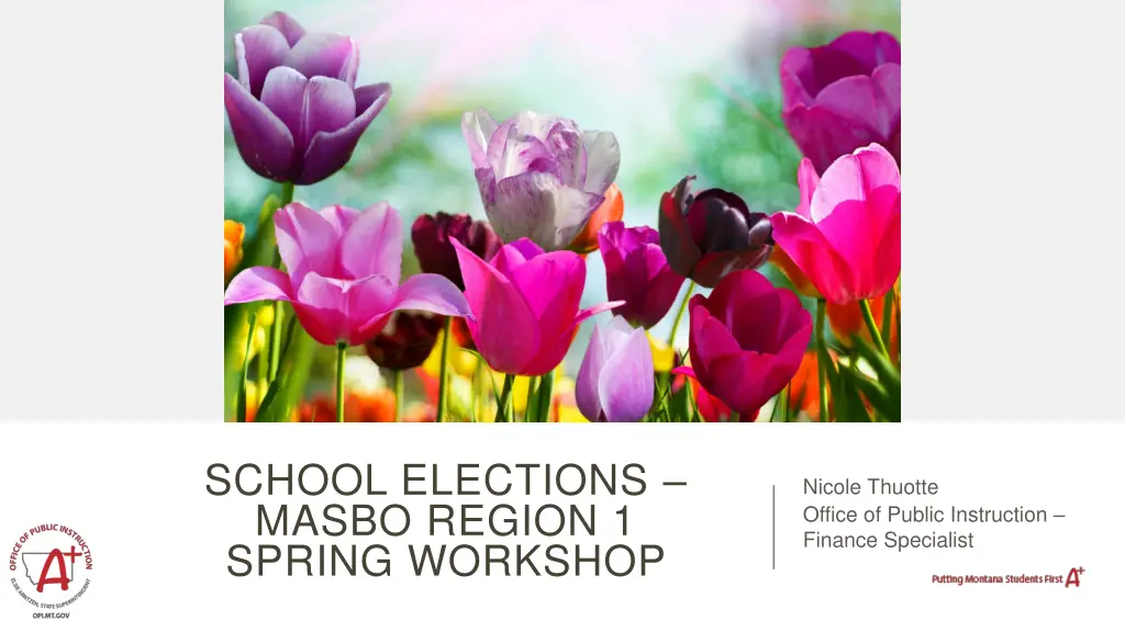school elections masbo region 1 spring workshop n.w