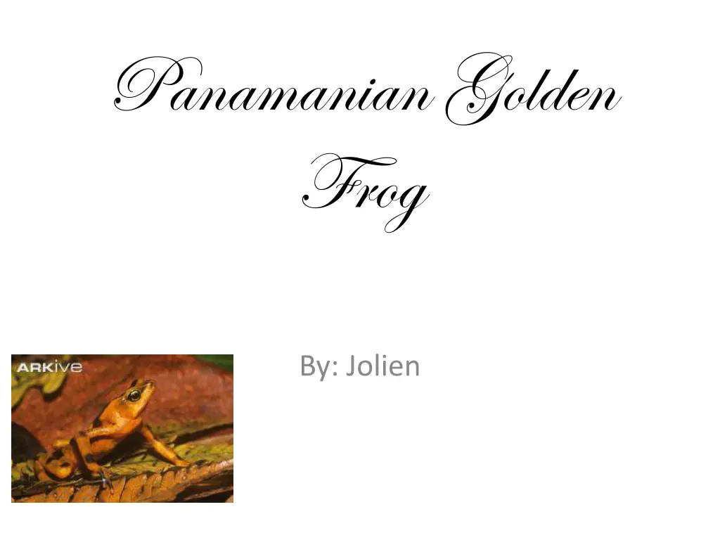 panamanian golden frog n.w