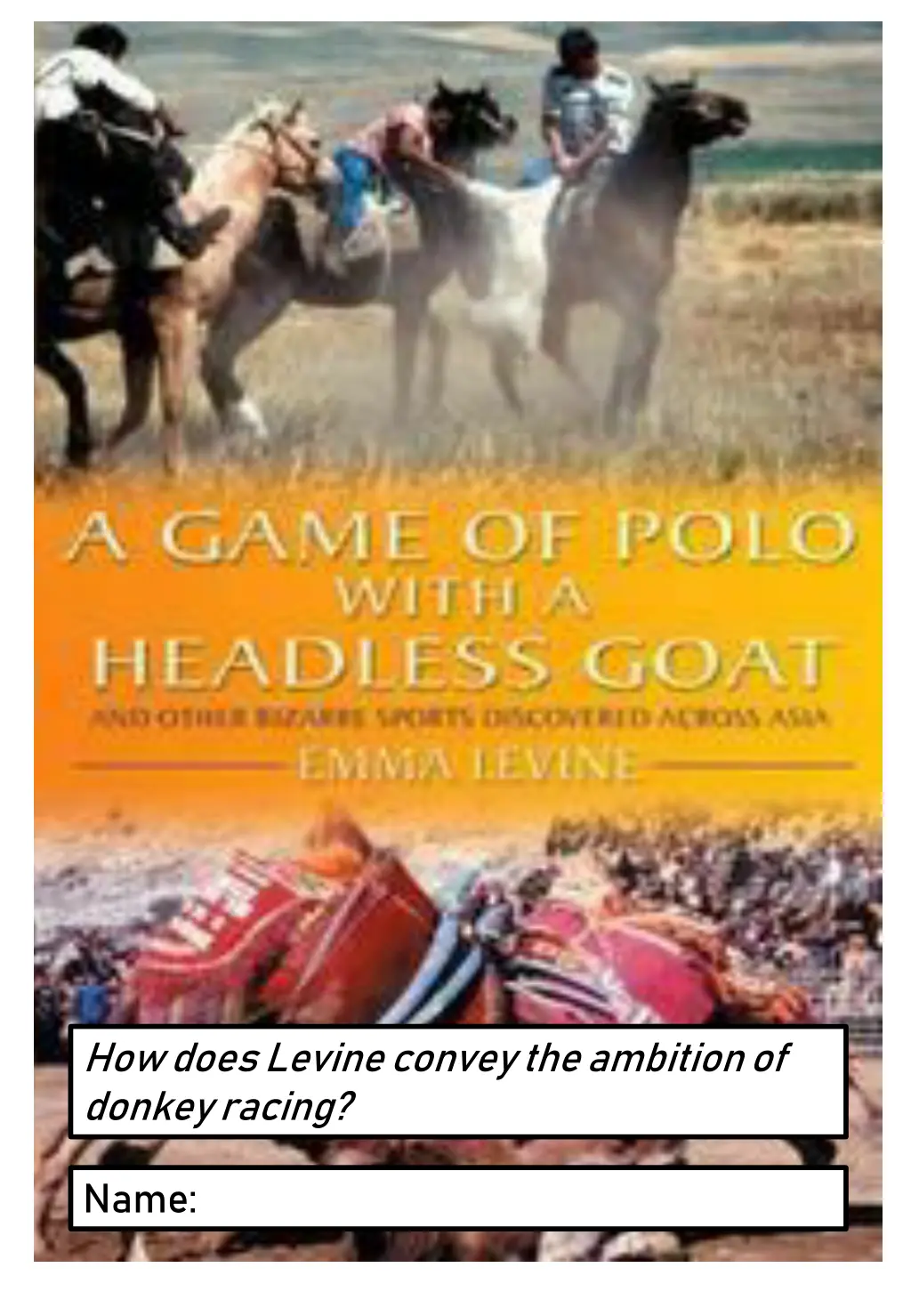 how does levine convey the ambition of donkey n.w