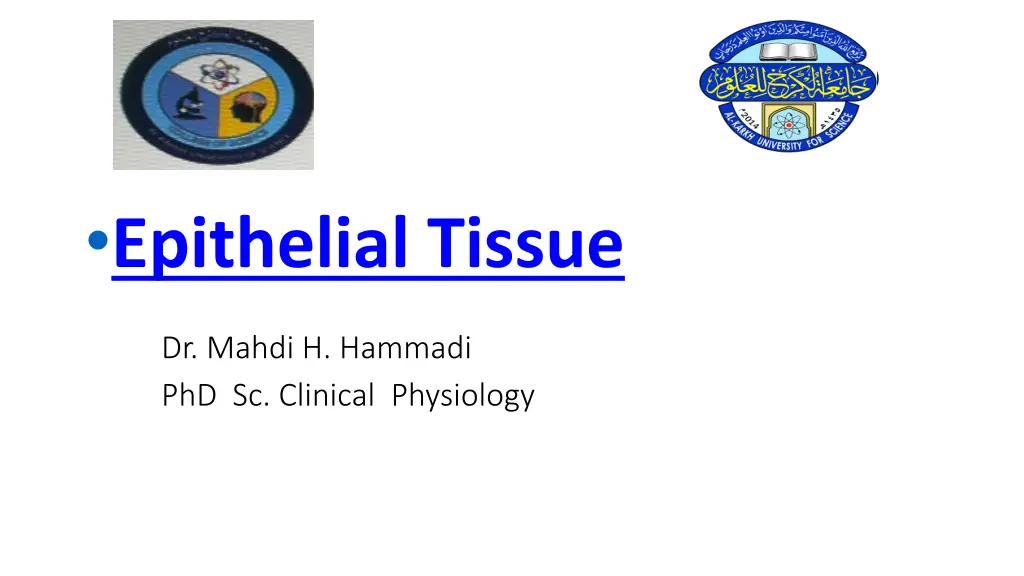 epithelial tissue n.w